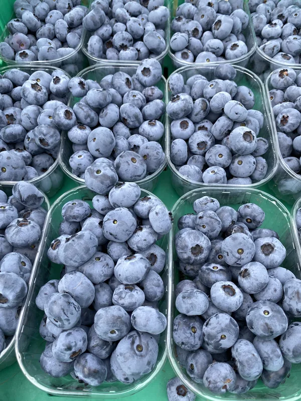 Zbliżenie na łubiankę pełną borówek